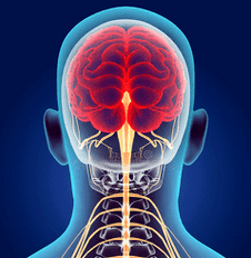 تصویر کانال های عصبی ستون فقرات گردنی